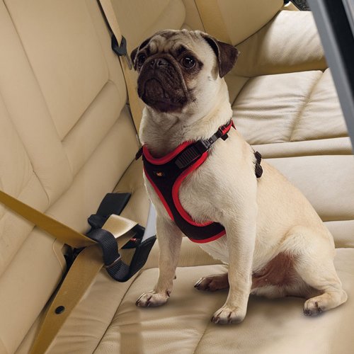 Ferplast Dog Travel Belt, Cinto de Segurança Universal Para Animais Ferplast para Cães