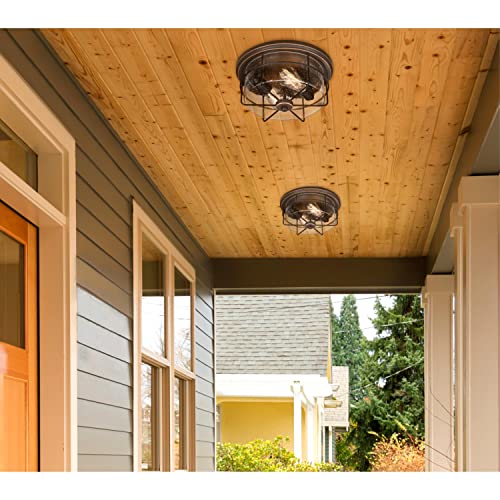 Westinghouse Lighting 6121800 Rosella Traditional Two Light Flush Ceiling Fixture, Black-Bronze Finish With Highlights, Clear Seeded Glass #TOP1