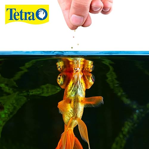 Miniatura 2 de Tetra Alimento de pellets de variedad de peces dorados de aleta