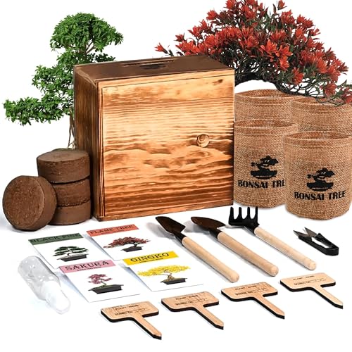 Meekear Bonsai Tree Kit reviews