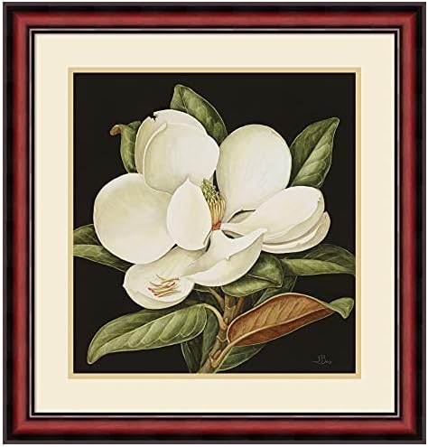 Amanti Art Wood Framed Wall Art Print Magnolia Grandiflora 2003 by Jenny Barron (24 in. W x 25 in. H), Rubino Cherry Scoop Frame - Medium