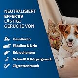 Enzymreiniger gegen Katzenurin & Hundeurin – Geruchneutralisator Spray mit 2‑Phasen Enzym-Formel | Cat Urine Enzyme Cleaner Destroyer für Haushalt, Textilien & Auto (125 ml)