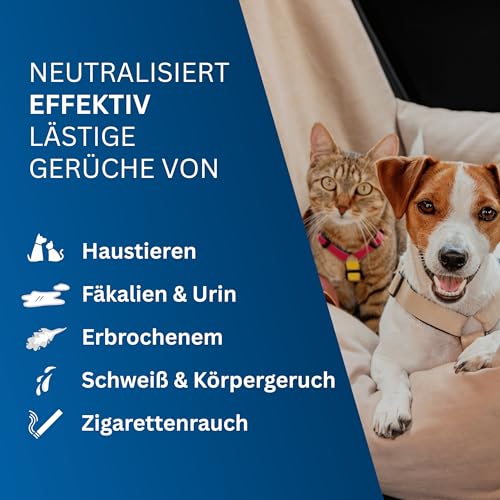 Enzymreiniger gegen Katzenurin & Hundeurin – Geruchneutralisator Spray mit 2‑Phasen Enzym-Formel | Cat Urine Enzyme Cleaner Destroyer für Haushalt, Textilien & Auto (125 ml)