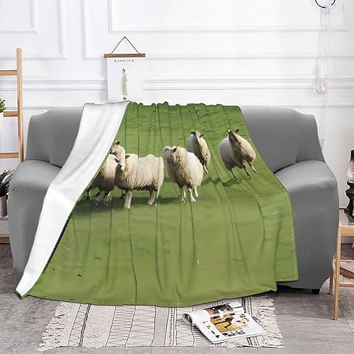 Couverture canapé mouton ultra douce, idée cadeau cocooning - 3