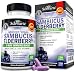BioSchwartz Elderberry Vitamin C and Zinc - Immune Support Supplement for Women and Men - Sambucus Elderberry Capsules with Zinc and Vitamin C for Adults - Non-GMO, 120 Count (4 Month Supply)