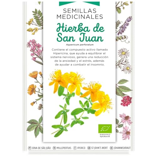 Semillas Medicinales - Hierba de San Juan - Semillas listas para plantar.