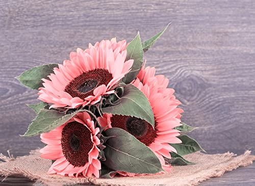 100Pcs Pink Sunflower Seeds For Planting, Heirloom And Non-Gmo Seeds, Easy To Plant And Grow, Outdoor Garden And Bonsai Plants #TOP5