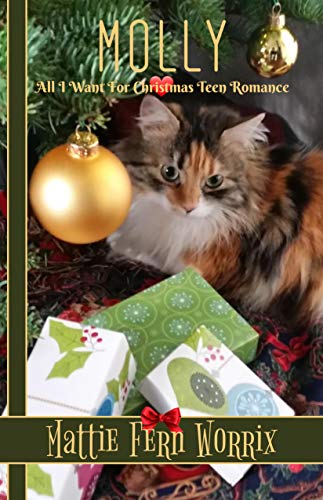 Molly (All I Want For Christmas Teen Romance) (English Edition)