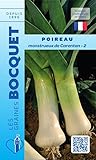 Sachet de graines de Poireau monstrueux de Carentan-2-4 g - légume bulbe - LES GRAINES BOCQUET