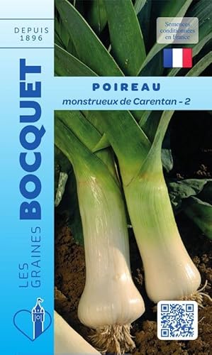 Sachet de graines de Poireau monstrueux de Carentan-2-4 g - légume bulbe - LES GRAINES BOCQUET