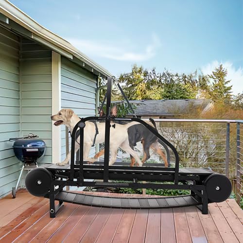 Dog Treadmill for Medium & Large Dogs with Pedometer