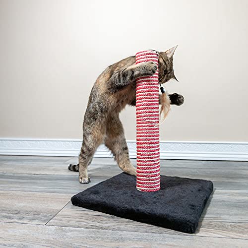 Rascador para gatos Midlee Candy Cane con juguete pluma miniatura 3