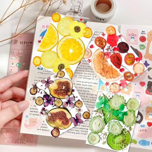 Image of 70PCS+ Nature Dried Pressed Fruits Flowers for Resin Mold, Real Dry Pressing Floral Set for DIY Jewelry Making Nail Card Scrapbook Art Craft Fruits Style