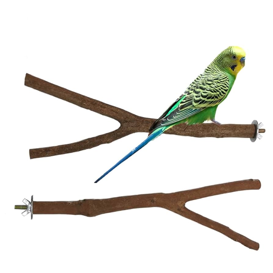 天然木セイヨウズ 森のバードスタンド② 61-wr51h8vL._UF350,350_QL80_.jpg