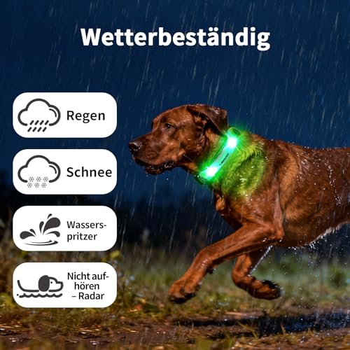LaRoo Sicherheits LED Leuchtband für Hunde Katzen,LED Licht Blinklicht mit Klettverschluss, Einfach an Halsband Leine und Geschirr zu Befestigen, Wasserdicht Leuchtend Outdoor Sportarten (Grün)
