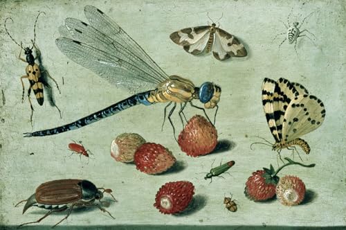 ARTXLXXBN Pinturas Famosas PóSter Arte Pared Moderno Pintura una mosca del drago due falene un ragno e alcuni coleotteri con fragoline di bosco para Decoraciones del Hogar 60x90cm