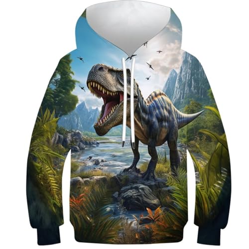 Sweatshirts longs garçon motif dinosaure 3D respirant taille 12-14Y