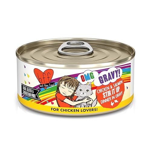 Weruva B.F.F. OMG - Best Feline Friend Oh My Gravy!,