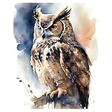 xcemhil Owl Paint by Numbers Kit for Adults Beginner, Owl Paint by Number for Adult, Acrylic Paint by Numbers Kits Suitable for Home Wall Art Decor Gifts 16x20 Inch