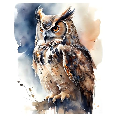 xcemhil Owl Paint by Numbers Kit