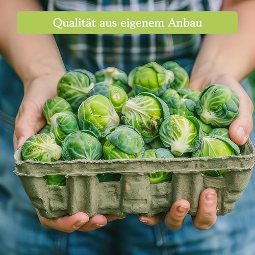 Winter Gemüse Samen Set : 8 Sorten Saatgut Set für die Wintergemüse Anzucht – Porree Samen, Rotkohl Samen, Rosenkohl Samen, Schwarzwurzel Samen, Spinat Samen, Lauch Samen – OwnGrown Samen Winterhart