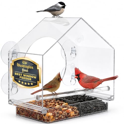 Window Bird Feeder with Strong Suction Cups