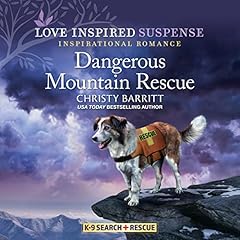 Dangerous Mountain Rescue cover art