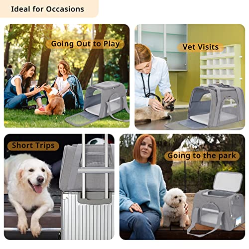 Pet Carrier Airline Approved, Pnimaund Soft Sided Cat Carrier New Upgraded Small Dog Carrier With Lockable Zippers And Id Tag, Breathable Pet Carrier For Cat, Puppy Of 15 Lbs,Grey #TOP6