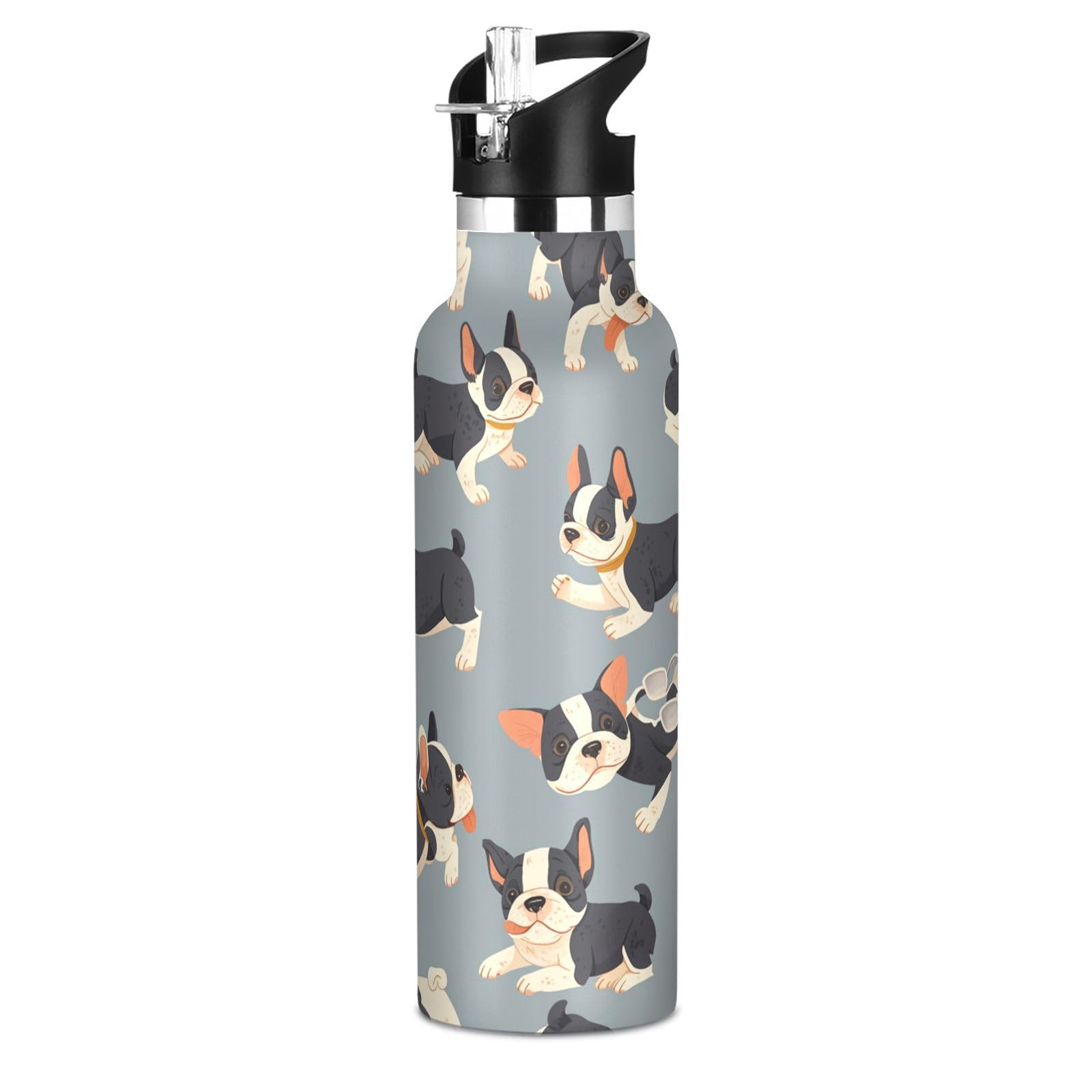 Kaaviyo Boys Pattern French Bulldogs Running Cheerful Water Bottle Stainless Steel Jug Insulated Vacuum Cup For Girls(600Ml)