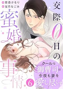 comic Berry’sクールな御曹司は今夜も妻を愛し尽くす～交際0日の蜜婚事情～6巻 (Berry's COMICS)