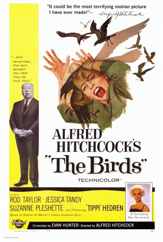 The Birds Movie Poster Print (27 x 40)