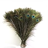 pfauenfedern künstlich Länge: ca. 25,4-30,5 cm Generic Natürliche, echte Pfauenfedern, 25,4-30,5 cm, 50 Stück