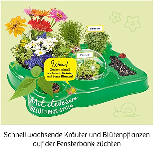 Kosmos 632083 Mein erstes Gewächshaus, Das Original, Erstes Gärtnern für Kinder ab 5 Jahre, Komplett-Set mit Samen, Erde usw. Experimentierkasten zu Garten, Pflanzen, Blumen, Biologie