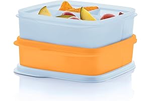 Unparalleled Lunch Experience with Lunch-It Portion & Go Compact 2-Lunch Box Set