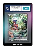 Carte Originale / The Pokemon Company