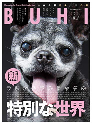 スマホ 無料電子書籍 BUHI 2020年夏号 Vol.55 バイ