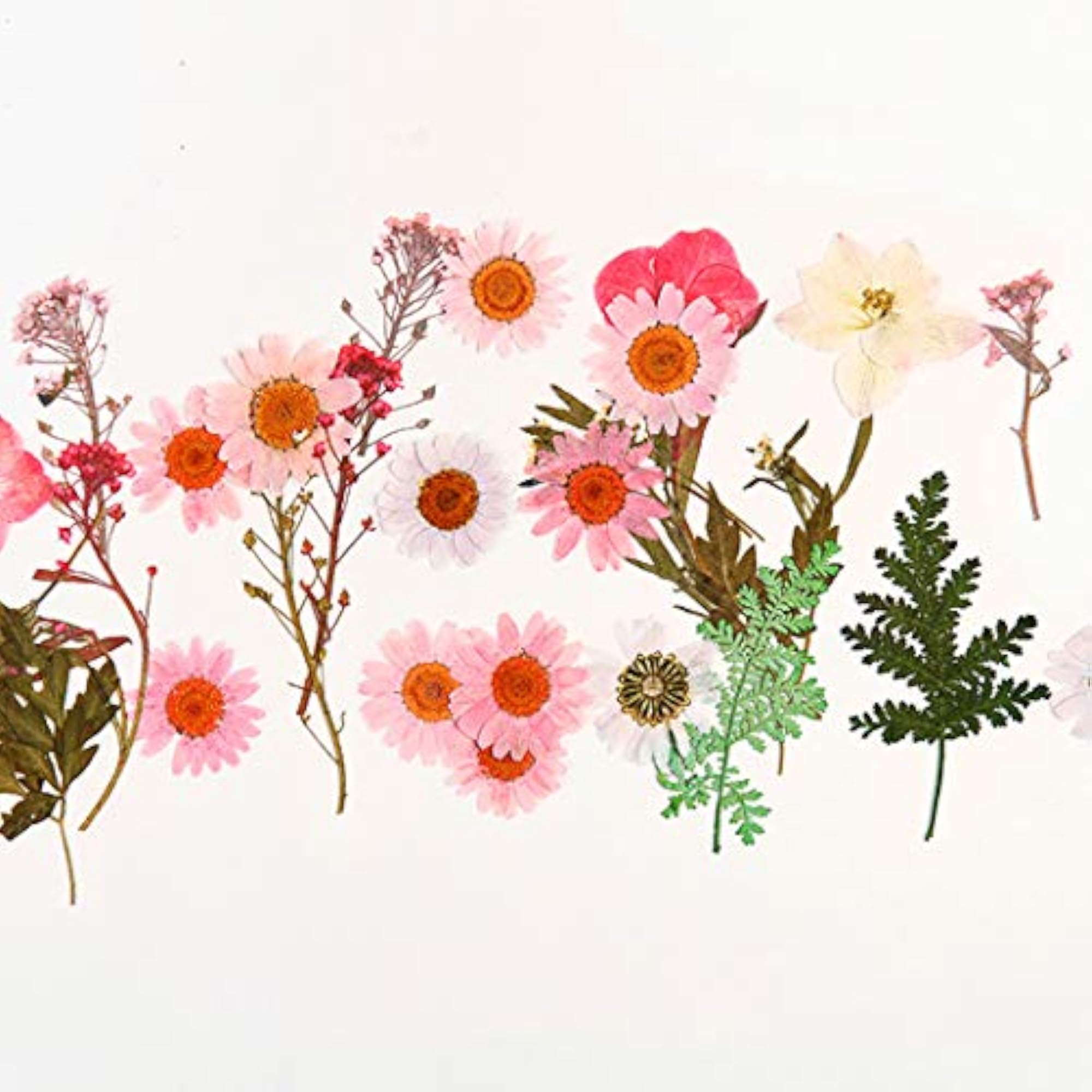 42PCS Dried Flower for Resin Crafts