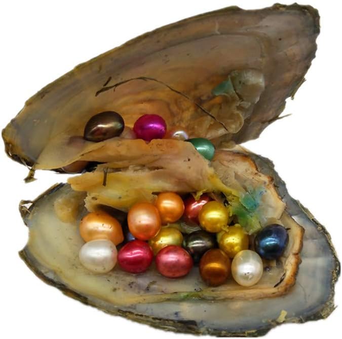 3PCS Oysters with 10 Rainbow Oval Rice Pearls Inside Each Oyster,Mini Monsters,Rainbow Monster Oysters