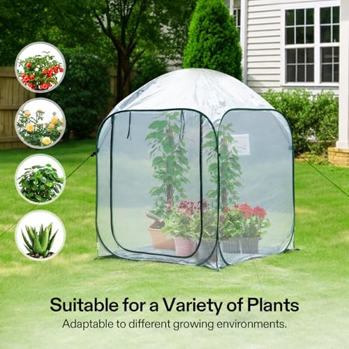 Image of VIVOSUN 49x49x63-Inch Portable Walk-in Greenhouse, with PVC Cover & Detachable Base, Instant Pop-up and Folding, Mini Greenhouse with Roll-Up Door & Mesh Window for Indoor Outdoor, Wind Ropes Included