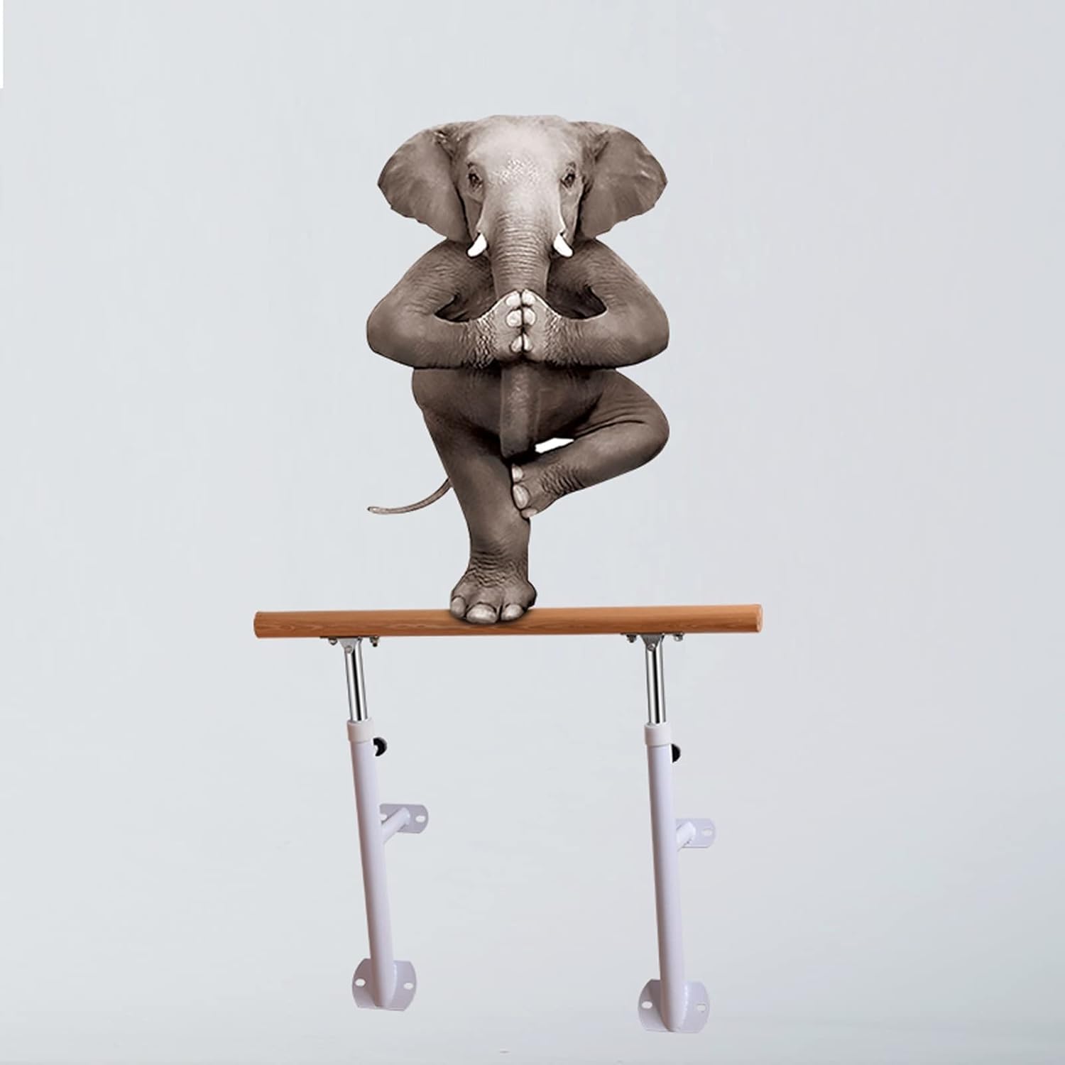 BarreStable Fixed Ballet Barre Wall-Mounted Solid Wood Dancing Practice Stick Height Adjustable Fitness Ballet Pole for Girls