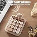 TISHLED Cute Wireless Numpad with Detachable Silicone Bear Case, 18-Key Round Keycaps Membrane Number Keyboard, Ergonomic Portable Numeric Keypad for Laptop/PC/Win/Mac, AAA Battery Included, Brown