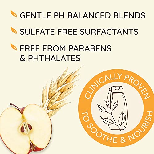 Aveeno Apple Cider Vinegar Sulfate-Free Shampoo For Balance & High Shine, Daily Clarifying & Soothing Scalp Shampoo For Oily Or Dull Hair, Paraben & Dye-Free, 12 Fl Oz #TOP4