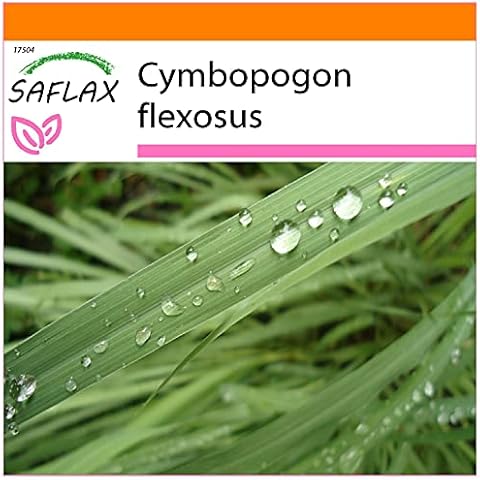 SAFLAX Garden in The Bag Lemongrass Seeds Cover