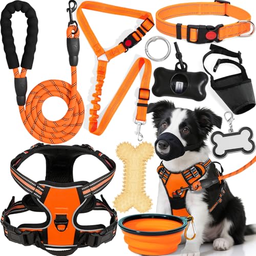 YXFDOYT No-Pull Dog Harness & Leash Set (Orange, M)