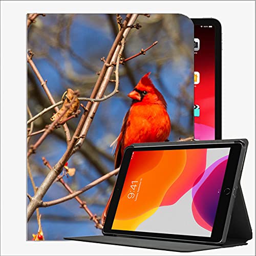 Estuche para iPad (Modelo de 9.7 Pulgadas, 2018/2017, 6ª / 5ta generación), Ramas Rojas de Aves # 4 Funda de Concha Delgada para iPad 9.7 Pulgadas