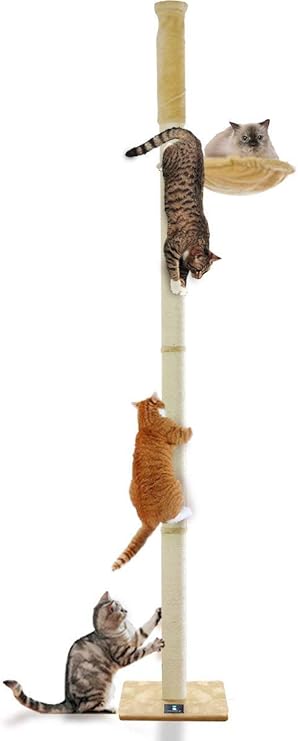 Amazon Ottostyle Jp 猫爪とぎ 木登りキャットポール ベージュ 突っ張り つっぱり 式 直径10cm 高さ240 255cm 耐荷重12kg ハンモック付き 拡張可能 運動不足解消 遊具 遊び場 省スペース インテリア 可愛い デザイン Ottostyle Jp キャットタワー 通販