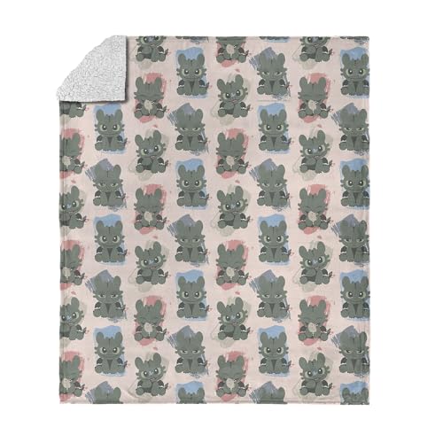 Northwest How to Train Your Dragon Many Emotions Silk Touch Sherpa Throw Blanket 50x60 inches
