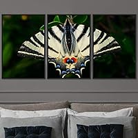 3 Piece Framed Canvas Wall Art Colorful Butterfly Insects Canvas Prints Home Artwork Decoration for Living Room,Bedroom - 16