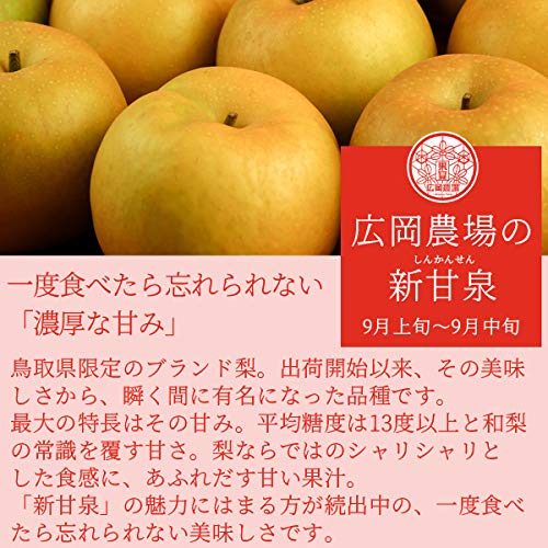 Amazon.co.jp: 広岡農場の新甘泉（しんかんせん） 10kg詰（14～36玉入