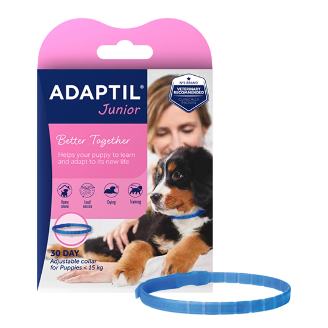 Adaptil Junior Adjustable Puppy Collar | Adaptil Dog Collar To Help Reduce Puppy Anxiety Using Natural Pheromones | Adjustable Calming Dog Collar For Puppies To Aid Training And Socialisation